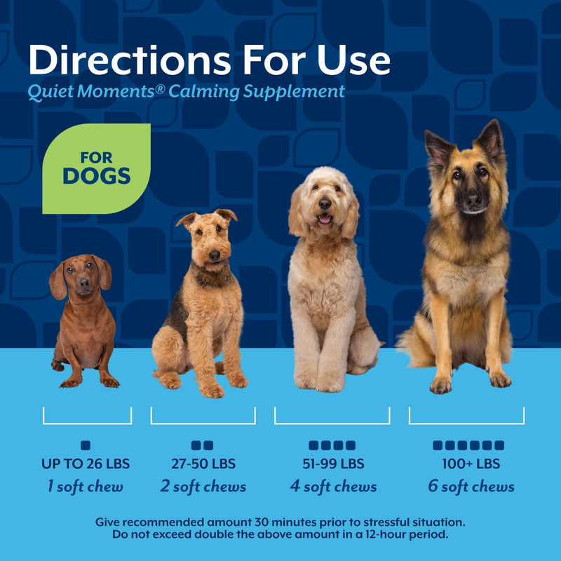 NaturVet Quiet Moments Calming Dog Supplement, Dog Soft Chews with Melatonin to Help Reduce Stress from Storms, the Vet, Fireworks, and Travel, Bacon and Chicken Flavored Pet Supplement, 240 Count Jar 240 Count (Soft Chews)