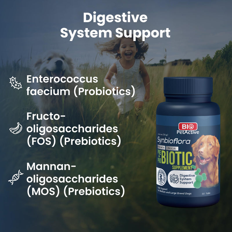 Bio PetActive Synbioflora | Probiotics&Prebiotics for Medium and Large Breed Dogs | Support Digestion,Gut and Stomach Health | Helps with Diarrhea,Gas and Constipation Relief | 60 Chews