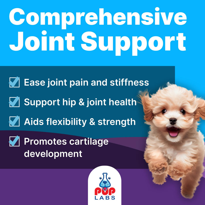 Freedom Joint Drops for Dogs with Hyaluronic Acid, MSM, Glucosamine, & Chondroitin, All Natural Liquid Joint Supplement for Dogs for Pain Relief, Mobility and Hip Support, 30 ml Dropper 1 Pack - PawsPlanet Australia