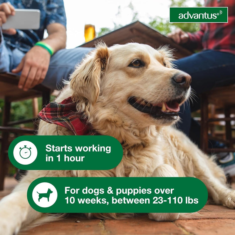 Bundle of Advantus Fast Acting Oral Flea Treatment Soft Chews Dogs 23-110 lbs. | 7 ct. + Advantage Household Spot & Crevice Spray 24 oz.