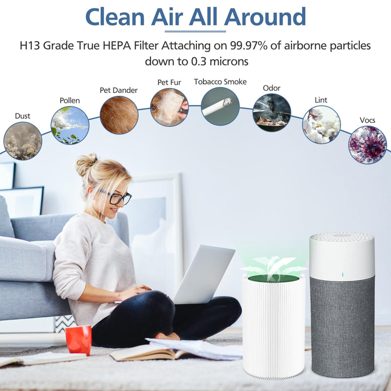 Blue Pure 411 Replacement Filters Compatible with Blueair Blue Pure 411 Genuine, 411+, 411 Auto and MINI Air Purifier, Include 2 Particle and 2 Activated Carbon 2 Pack Blue 411 Auto & 411 & 411+ Filter