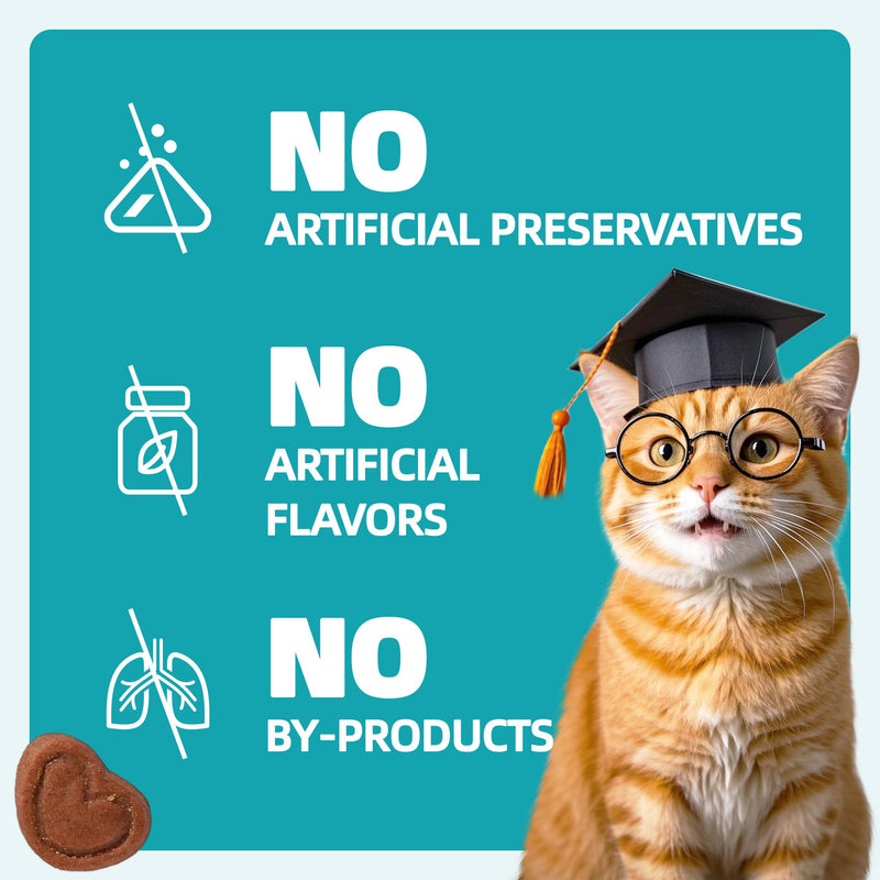 Wellix 13.5oz Urinary Tract Health Supplement Cat Treats for Indoor Cats - Chicken Flavor Kitten Snacks for Support Kidney Bladder & Urinary Health Cat Training Biscuits - Add Dandelion & Cranberry