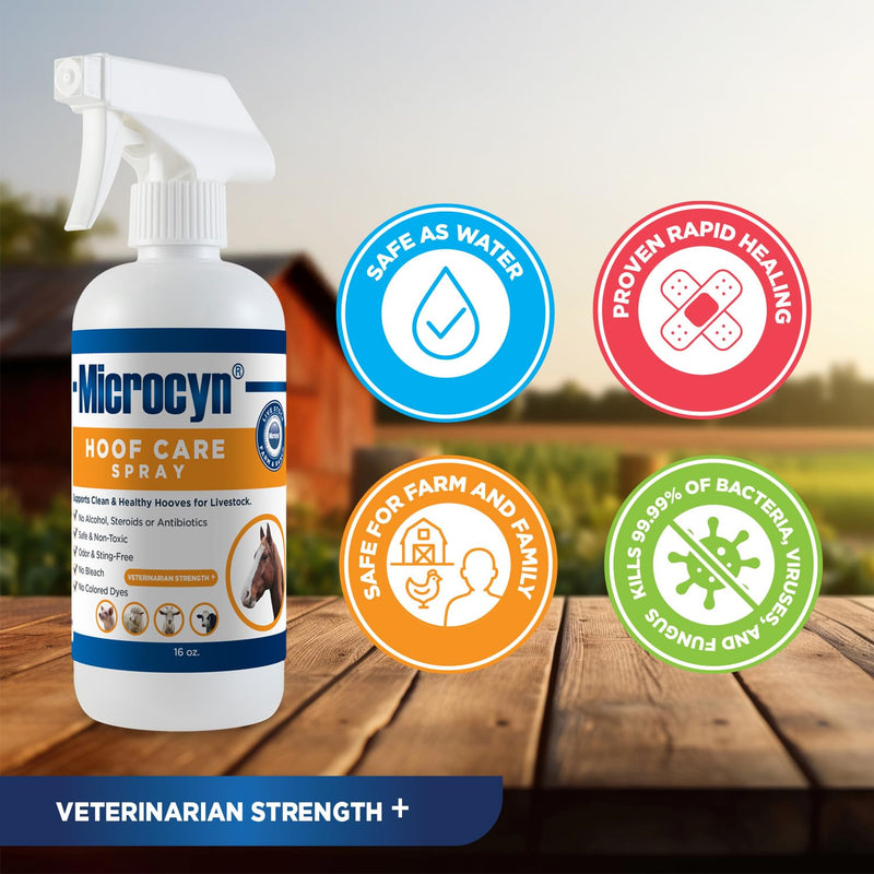 Microcyn Livestock Hoof Care Spray – 16 oz HOCl-Based Hoof Cleanser – Supports Healthy Hoof Condition & Moisture Balance – For Horses, Ponies, Donkeys & Farm Animals.