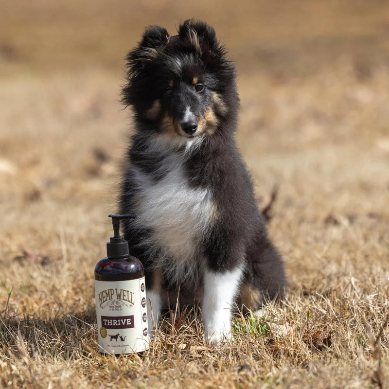 Hemp Well Thrive Oil for Dogs and Cats – Supports Hip, Joint, and Heart Health, Promotes Immune System, and Promotes Healthy Skin from Seasonal Allergies, Organically Sourced - 16 Ounces 16 Ounce
