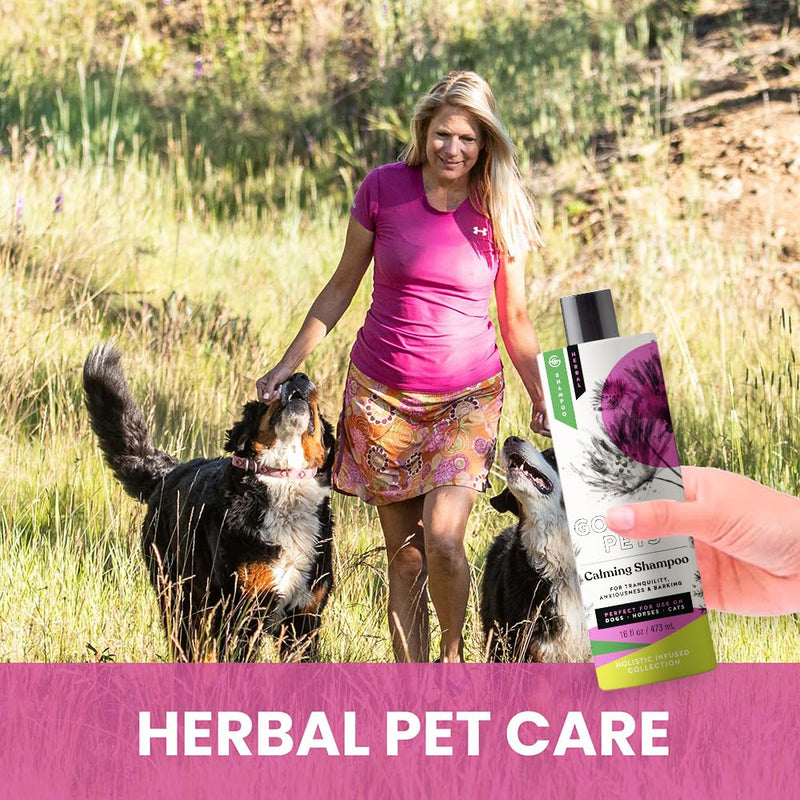 Holistic Natural Derived Calming Pet Shampoo for Anxiety: Veterinarian Recommended: Providing Stress Relief for Dogs, Cats and Horses - Made in USA - 16 oz Calming, Lavender, Bergamot, Geranium - PawsPlanet Australia