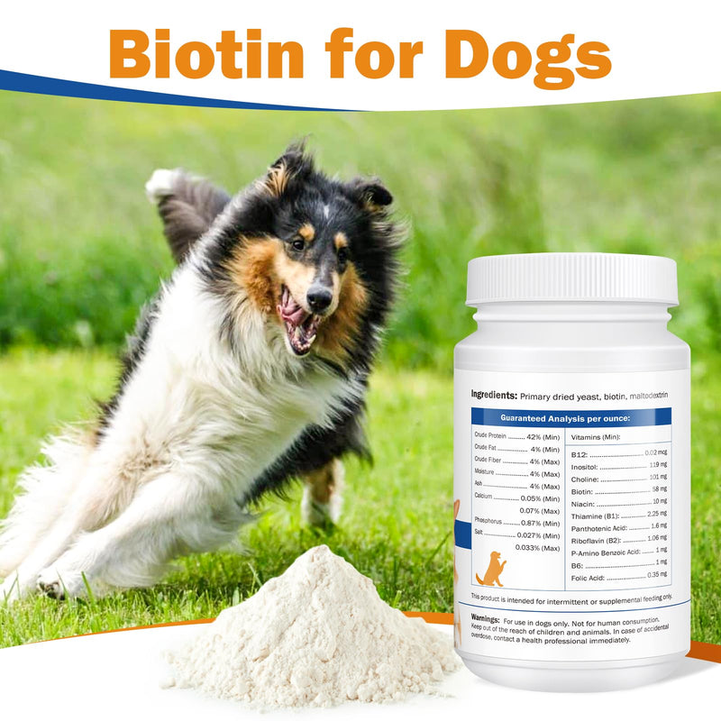 Biotin for Dogs, Supports Shiny Coat and Healthy Skin, Strengthens Dog Nails, Biotin Powder Supplement for Dog Shedding, Dry Skin Relief for Dogs, 6 oz - PawsPlanet Australia