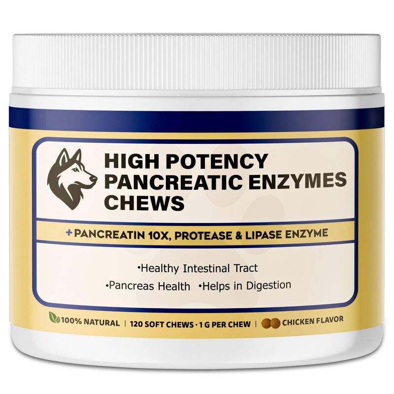 Pancreatic Enzymes for Dogs – 10X Pancreatin Digestive Enzyme Powder – Dog EPI Supplement for Pancreas Support – Helps Restore Weight, Improve Digestion & Relieve GI Stress 120 pieces – Vet Formulated