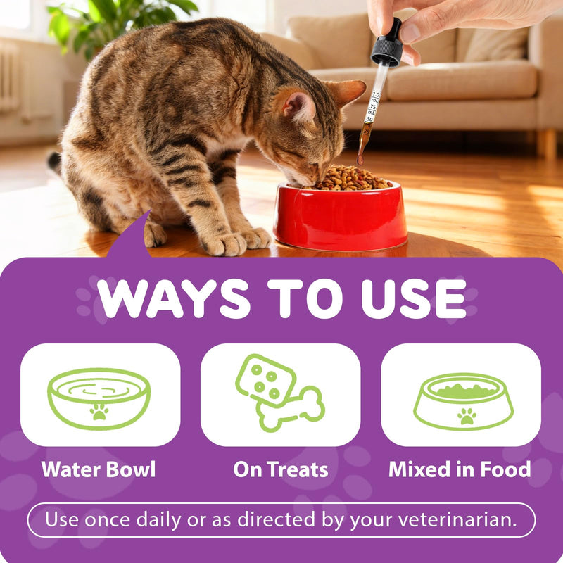 L-Lysine Drops for Cats, Lysine Supplement for Cats, Support Immune System, Respiratory Health & Eyes Function, Skin & Coat Health, Pets Health Supplies Cat Multivitamins, Chicken Flavor - 2 fl.oz