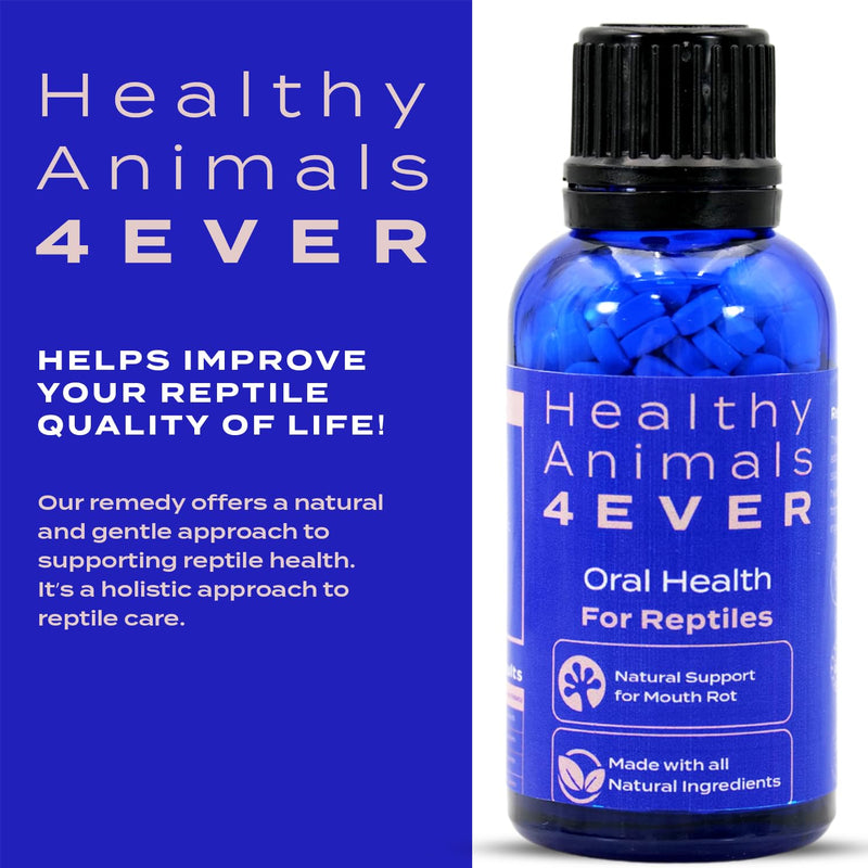 HealthyAnimals4Ever Reptile Oral Health - Natural Support for Mouth Rot, Enhanced Oral Hygiene & Long-Lasting Comfort - Gentle Homeopathic Formula - 300 Count - PawsPlanet Australia