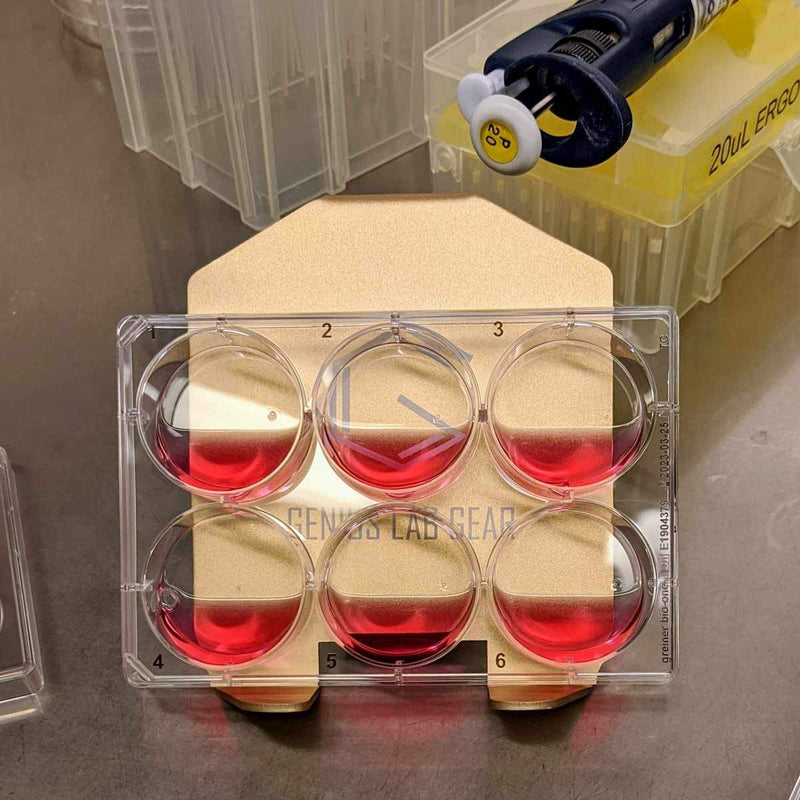 Angled Metal Petri Dish Holder - 30/40 Degree Cell Culture Plate Media Transfer Stand-Rack - Fits 60-200mm Well Plates, Flasks, Dishes - 2 Pack, Microbiology Lab Equipment Supplies - Science, Biology