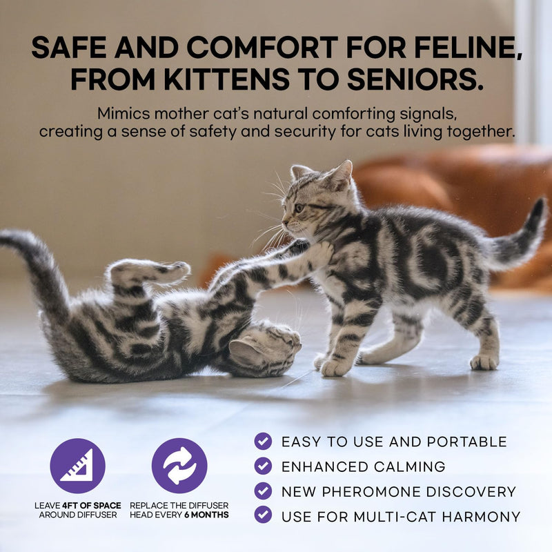 Cat Pheromones Calming Diffuser: Premium Cat Calming Diffuser - cat Calming pheromone Diffuser - cat pheromone Diffuser - cat Diffuser Calming - pheromone Diffuser to Calm Cats, 2 Pack - PawsPlanet Australia