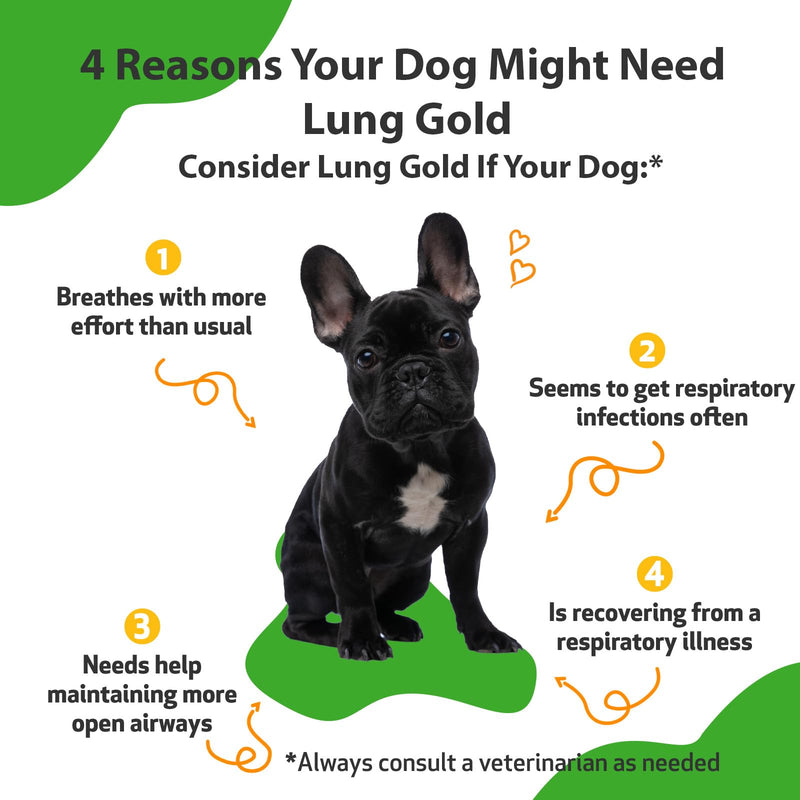 Pet Wellbeing Lung Gold for Dogs - Lung Immune Support, Lower Respiratory Health, Open Airways, Normal Breathing, Reishi, Coptis - Veterinarian-Formulated Herbal Supplement 2 oz (59 ml) 2 fl oz (59 ml)