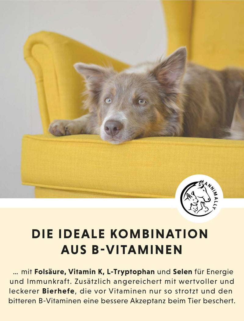 Annimally Vitamin B Complex Dog 120 tablets for up to 4 months I Vitamin B high dosage for dogs and cats with vitamin B1, B2, B3, B5, B6, B9, B12, vitamin K, L-tryptophan and selenium - PawsPlanet Australia