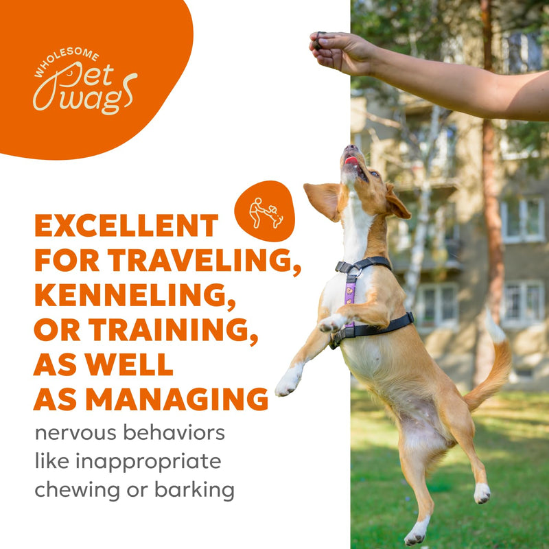 Canine Calm Soft Chews | Calming Treats for Dog Anxiety, Firework Relief for Dogs, for Managing Stress and Relaxing | 60 Chews (180g, 6.35 oz.) - PawsPlanet Australia