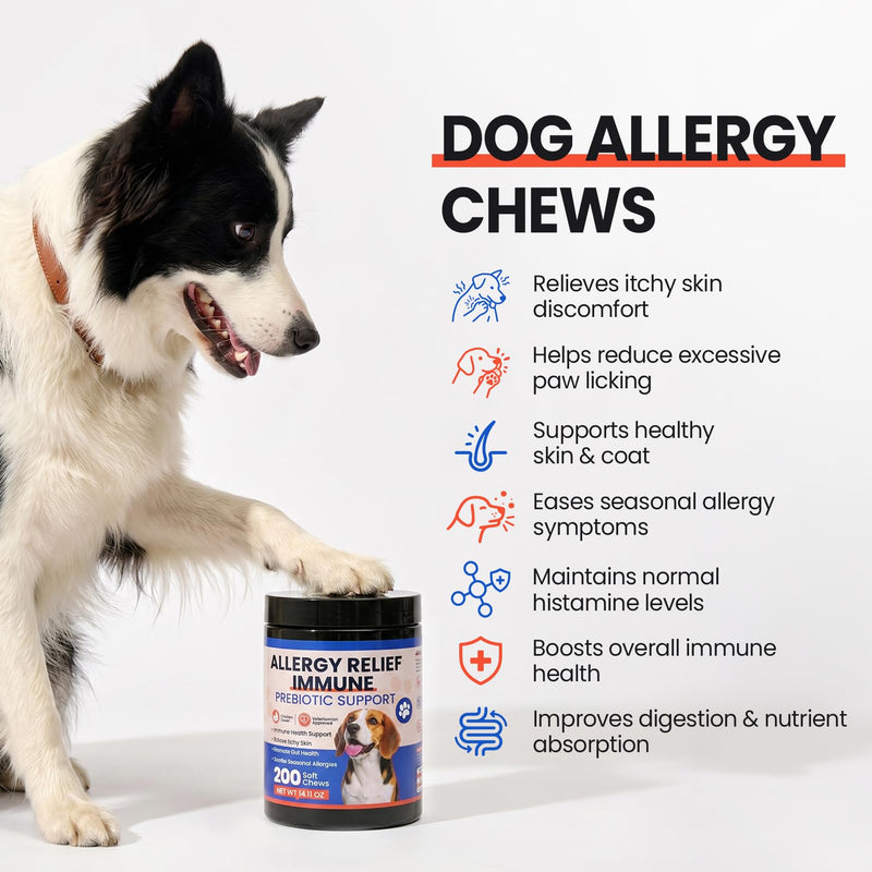 Dog Allergy Chews 200 Ct - Itch Relief for Dogs Immune Support with Colostrum Probiotics & Omega 3 - Seasonal Allergies Anti-Itch Skin & Coat Supplement, Itchy Skin & Paw Relief Bites - Chicken Flavor
