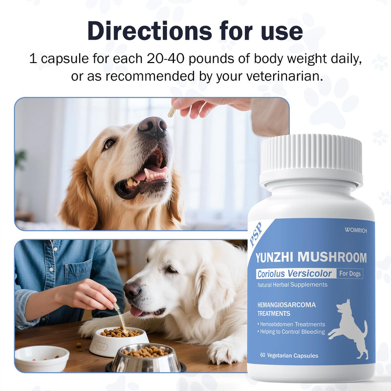 Quick Stop Bleeding for Dogs, Yunnan Sanqi Capsules for Dogs for Hemangiosarcoma, Hemoabdomen, Severe Bruising, Hemangiosarcoma & Hemoabdomen - Rich in PSP & Beta Glucans, Turkey Tail 60 Capsules