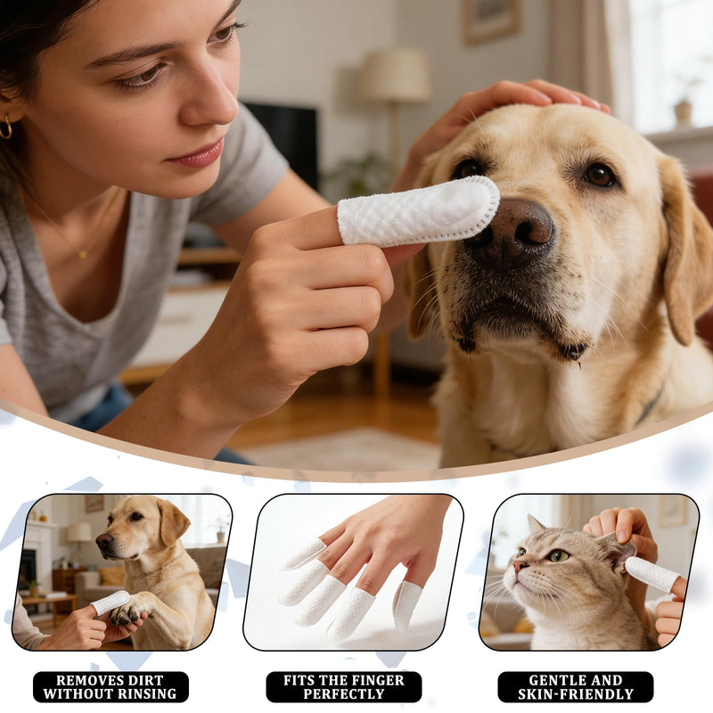 Pet Dental Wipes 60 Count | Dog & Cat Teeth Cleaning Wipes to Support Oral Care | Finger Toothbrush for Freshening Breath & Gently Cleaning Teeth (60 Count) (60 Count)