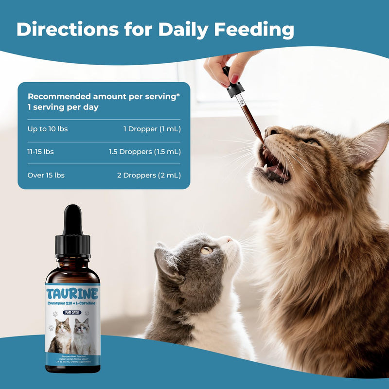 Taurine Supplement for Cats Liquid Drops, Cat Taurine with Coenzyme Q10 & L-Carnitine, Supports Heart Function, Vision, Energy & Daily Vitality, 2 fl oz 60 ml (Pack of 1)