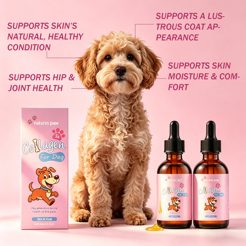 Liquid Collagen Supplement for Dogs - Supports Joint Health, Skin & Coat Vitality, and Digestive Wellness, 2 Fl Oz Premium Formula (2 Pack) (1) 1