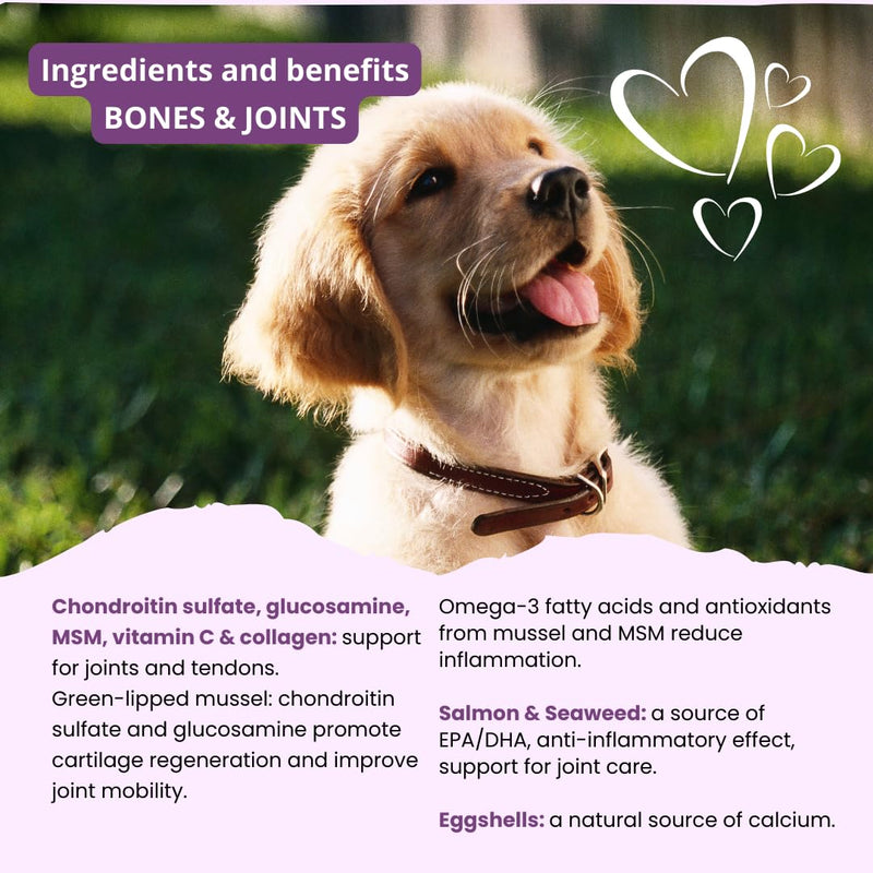 Glucosamine Dog Supplements, Bone and Joint Supplement for Dogs with Green-Lipped Mussel, MSM, Chondroitin & Omega-3 | 100-120 PCS of Chews for All Breeds Size