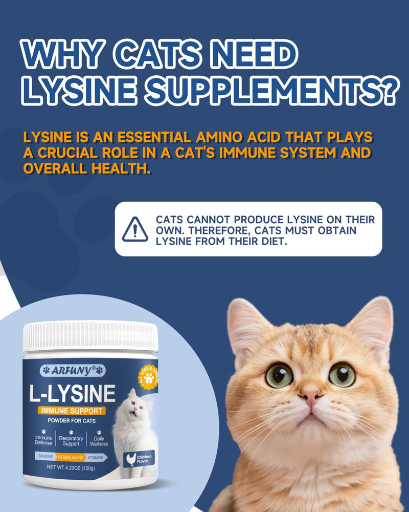Collagen for Cats - Grass Fed Cat Collagen Drops - Cat Joint Supplement - Skin & Coat, Digestive & Immune Support & Lysine for Cats - Support Immune System, Respiratory, Eye Health