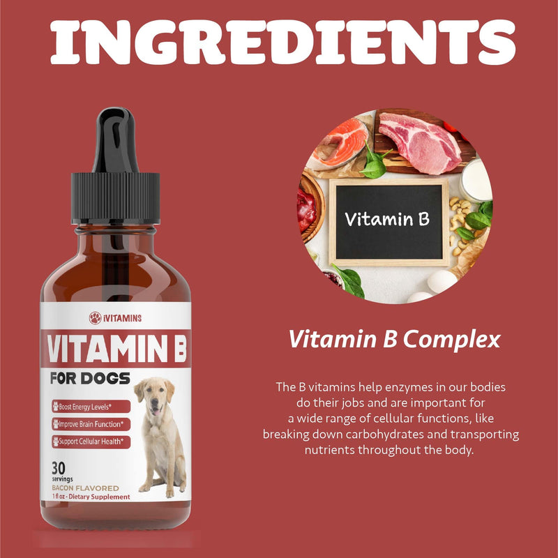 Vitamin B for Dogs | Vitamin B Complex for Dogs | Vitamin B12 for Dogs | Dog Vitamins | B12 Vitamins for Dogs | Vitamin B Dog Supplements | B Complex for Dogs | B12 for Dogs | Do1 fl oz: Bacon Flavor - PawsPlanet Australia