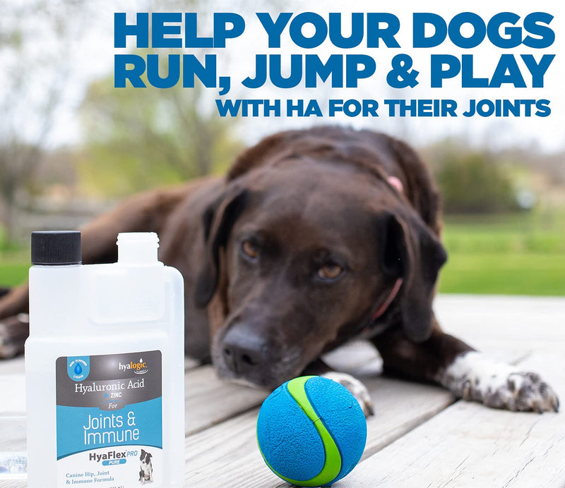 Canine Hyaluronic Acid + Zinc by Hyalogic - Joint & Immune Support, HyaFlex Pro Pure 8oz - Liquid Oral HA Dog & Pet Supplement - PawsPlanet Australia