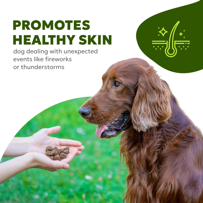 Canine Skin & Coat Soft Chews | Dog Vitamins and Supplements, with Fish Oil, Biotin, Vitamin A & D3, Promotes Skin Health, with Omega-3 Fatty Acids | 60 Chews (180 g, 6.35 oz.) - PawsPlanet Australia