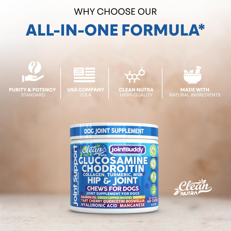 JointBuddy Glucosamine Chondroitin Joint Supplement for Dogs Salmon Oil MSM Tart Cherry Omega 3 6 9 Fish Oil Hyaluronic Acid Supplements & Collagen for Dogs 60 Chews Beef Flavor by Clean Nutra Pets