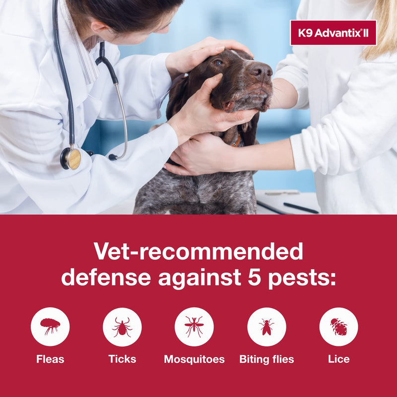 Bundle of K9 Advantix II XL Dog | 2-Mo Supply + Pet Protect Allergy* + Immune+ Seasoderm™ | 60 Count