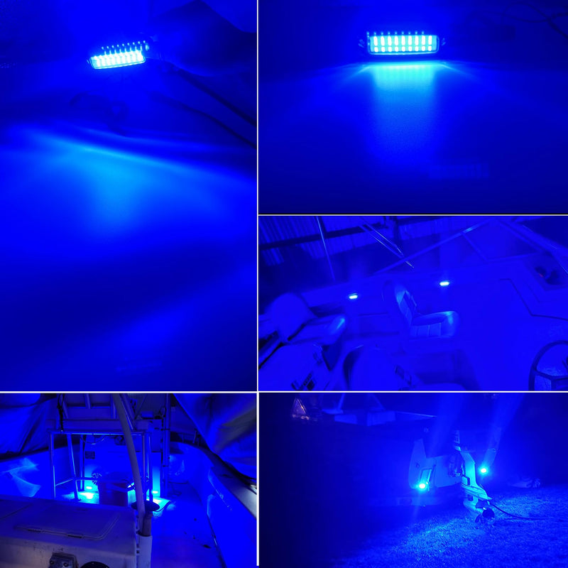 Blue Marine Led Boat Lights,Super Bright Waterproof IP68 316 Stainless Steel Boat Navigation Trailer Transom Led Light,Interior Lamp for Pontoon, Transom,Cruise Ships,Sailboat,Yachts(2 Pcs) Blue