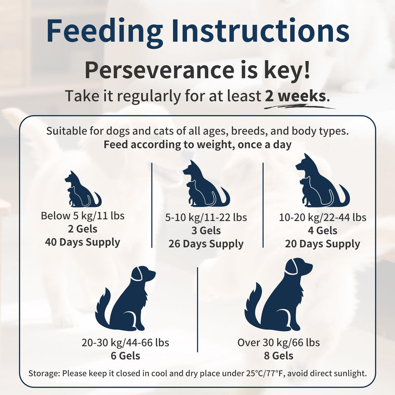 Omega 3 Fish Oil for Dogs, 80 Capsules, Rich in EPA and DHA, Improves Dry Skin, Dandruff, Itching, Reduce Shedding, Supports Cardiovascular and Joint Health, Suitable for Cats and Dogs (1 Bottle) 1 Bottle (80pcs in total)