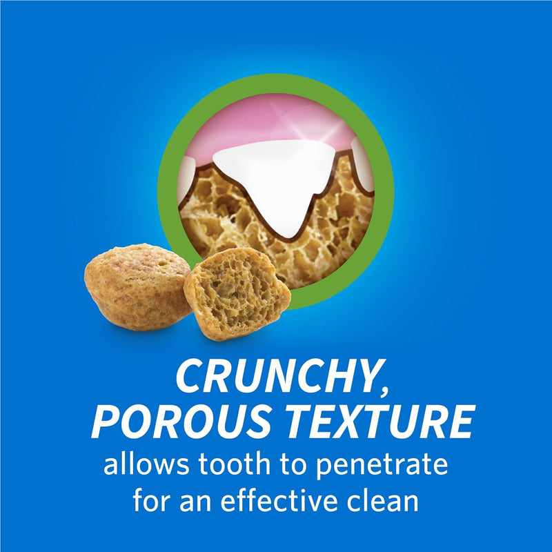 DentaLife Purina Made in USA Facilities Cat Dental Treats, Tasty Chicken Flavor - 19 oz Pack of 1)