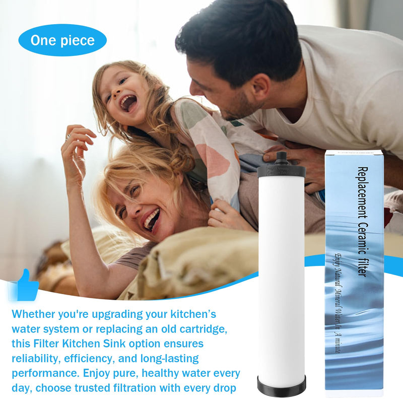 FRC06 Ceramic Water Filter Cartridge, for Franke FRCNSTR Kitchen Sink Water Filter Compatible with FRCNSTR100、FRCNSTR-DUO-1、FRCNSTR-DUO-2 Filter Kitchen Sink