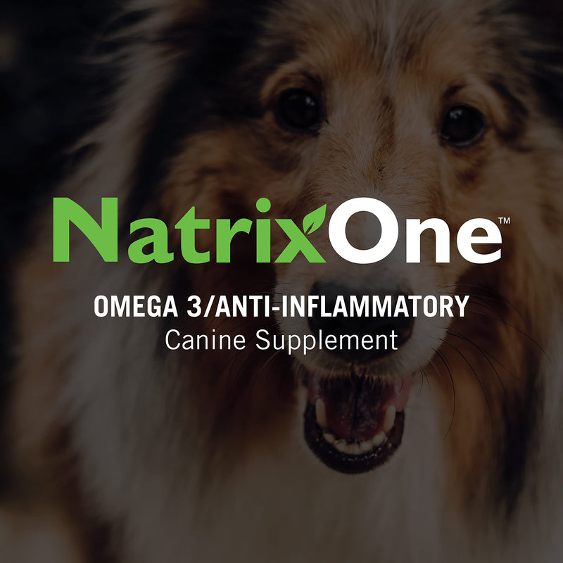 Omega 3 for Dogs 16 oz - All-Natural Skin and Coat Supplement - Supports Hearts, Joints, and Anti-inflammatory Systems - Made with Camelina Oil by NatrixOne - PawsPlanet Australia