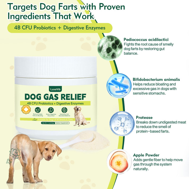 Dog Gas Relief, Relief Smelly Farts with 4B CFU Pediococcus Acidilactici Probiotics, Digestive Enzymes, Dog Fart Remedy to Help Gas & Bloating, Dogs Farts Relief, Dogs Gut Health Digestive Support