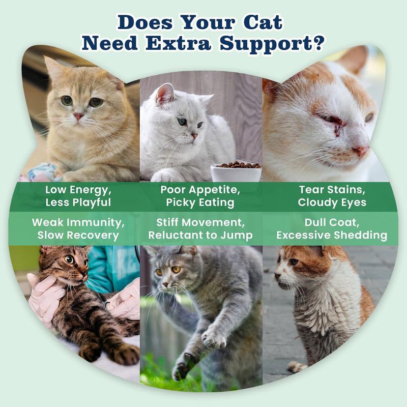 22-in-1 Cat Multivitamin Chews, Taurine & Lysine for Cats, Omega 3,6,9, Cat Vitamis and Supplements Support Immune, Skin, Joint, Digestion, Heart & Energy 500 Crunchy & Creamy Treats for Cats All Ages