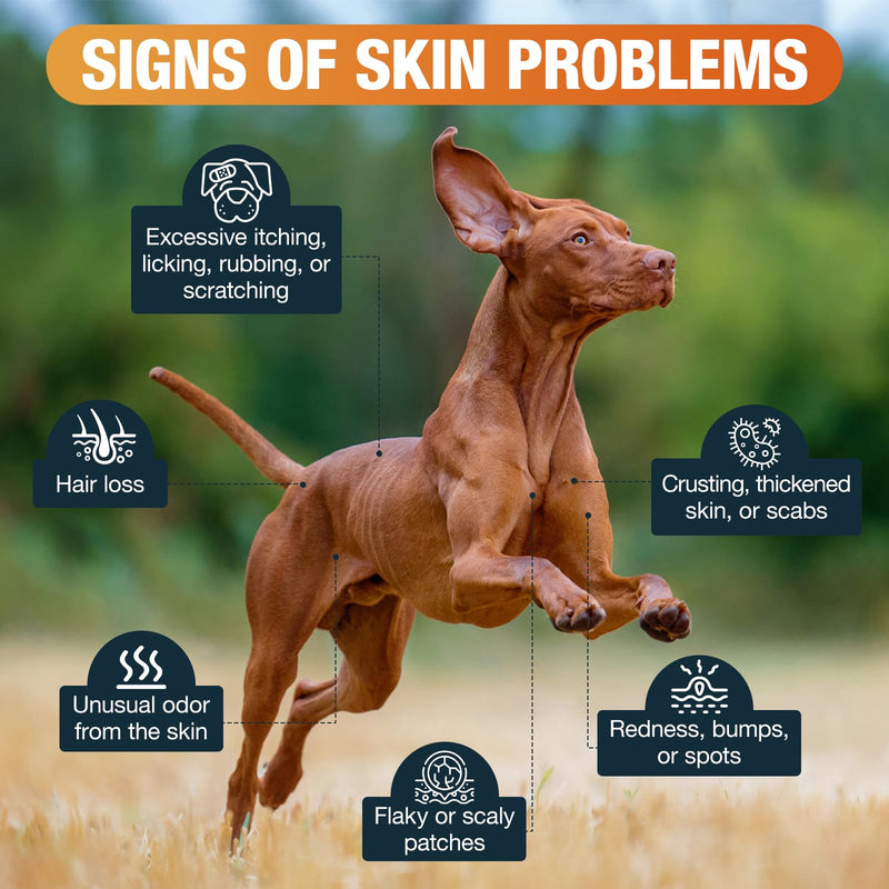 Dog Yeast Infection Treatment for Dogs - Natural Herbal Supplement for Itchy Skin Relief, Coat Support, Inflammation Reduction & Immune Booster - 60ml Yeast Drops for Dogs (Bacon Flavor)