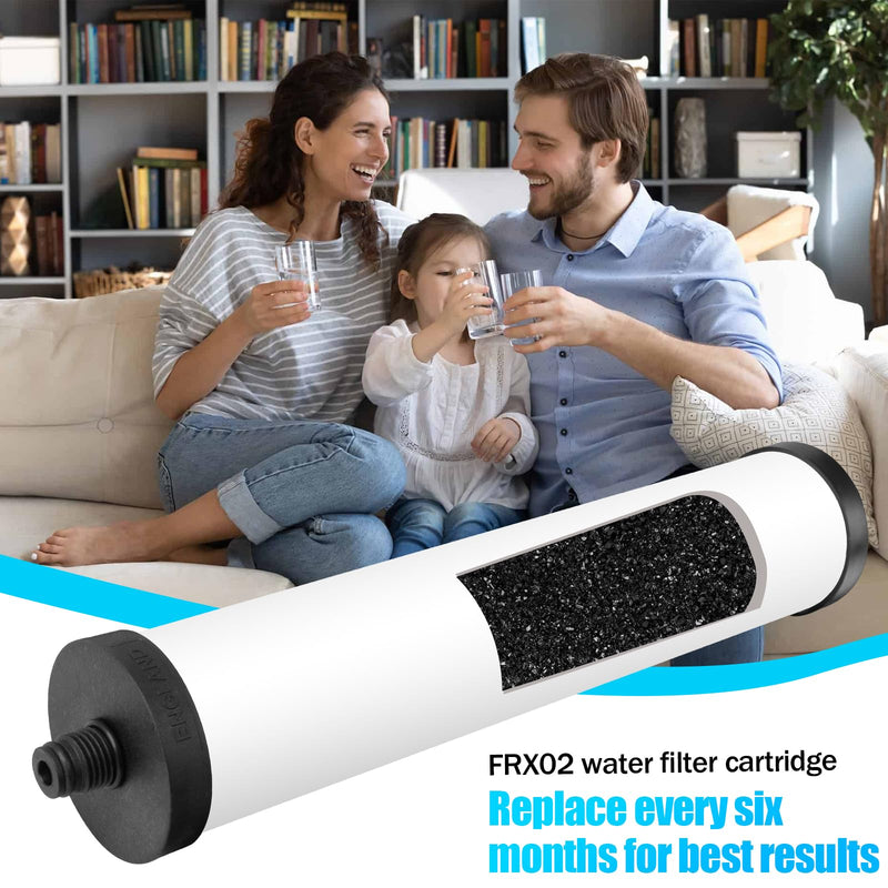FRX-02 Ceramic Water Filter Cartridge for Franke Triflow Water Filter, Height 10 Inch