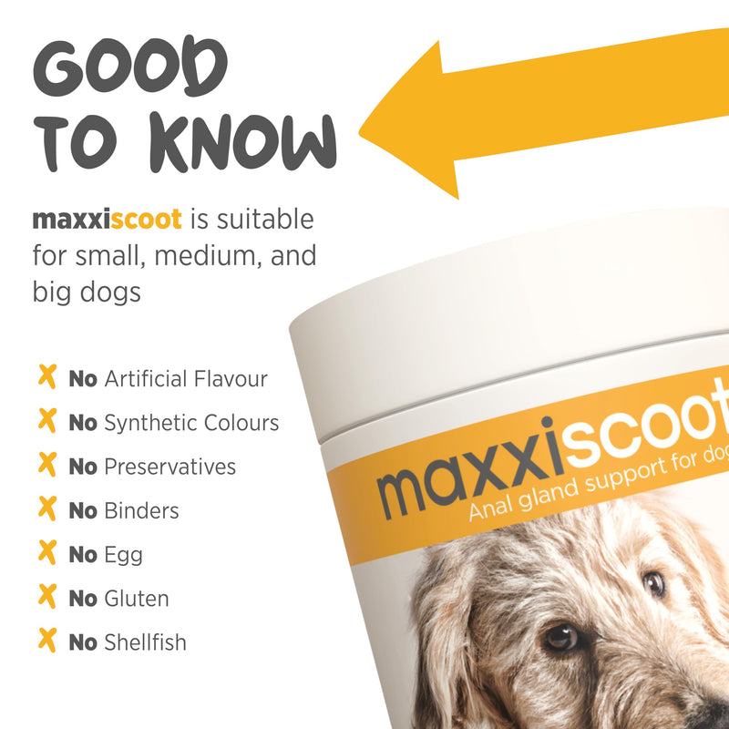maxxiscoot Anal Gland & Digestive Health Support for Dogs - Powder Supplement, 5oz - PawsPlanet Australia