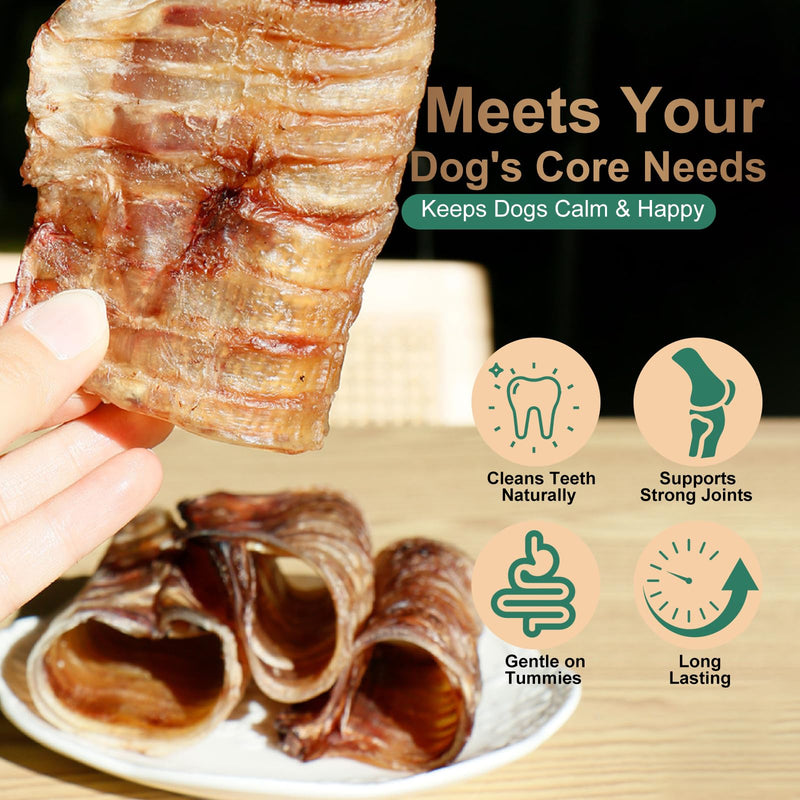 6 Inch Beef Trachea Dog Chews (6pcs - 8oz)-Trachea Dog Treats,Digestible and Safe Chews for Dogs - Natural High Protein for Medium & Large Dogs,Teeth Grinding & Cleaning, Supports Dental Health 0.5 Ounce (Pack of 6)