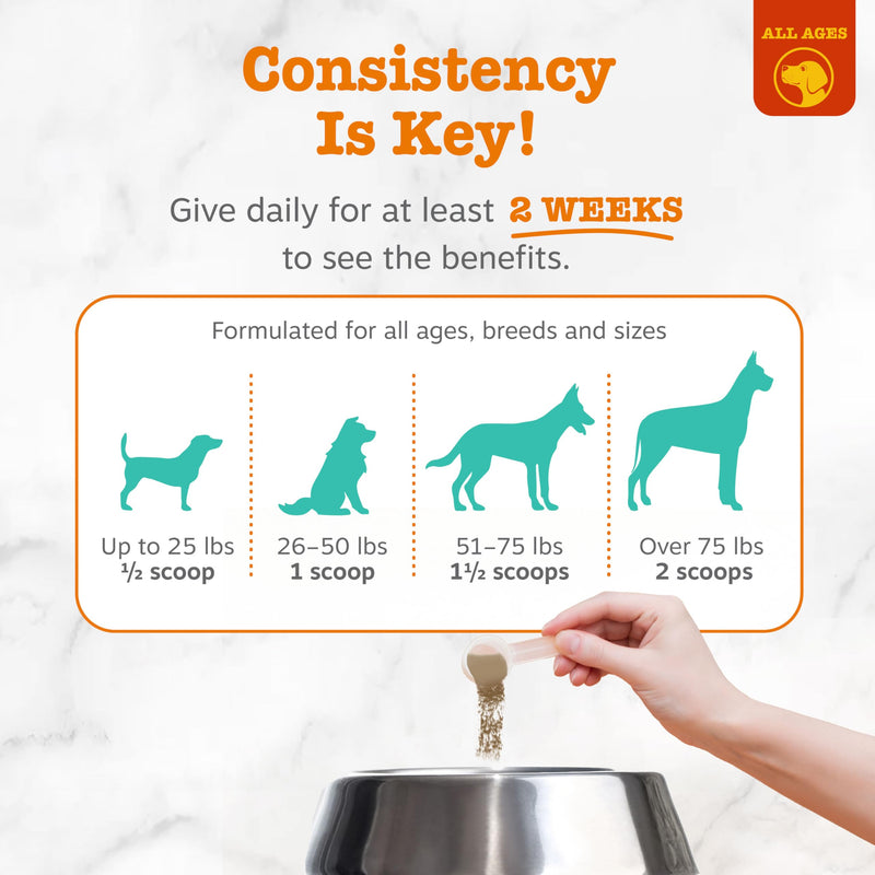 Zesty Paws Probiotic Dental Powder for Dogs Teeth - Fights Plaque, Tartar & Bad Dog Breath - Dog Teeth Cleaning Powder for Oral Microbiome & Gut Health - Pet Supplement for Dental Health 90 Count (Pack of 1)