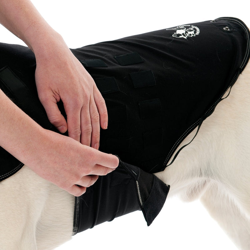 Company of Animals Anxiety Wrap, Black, Toy Sized - PawsPlanet Australia