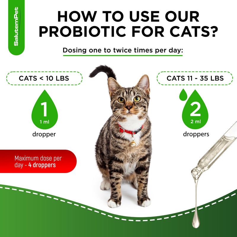 Set of Cat Probiotic & Cat Antibiotic + Pendant – Probiotics for Digestion & Stomach Support – Antibiotics for Bladder & Kidney Function – General Wellness & Complex Care – 2 oz x 2 Chicken Flavor