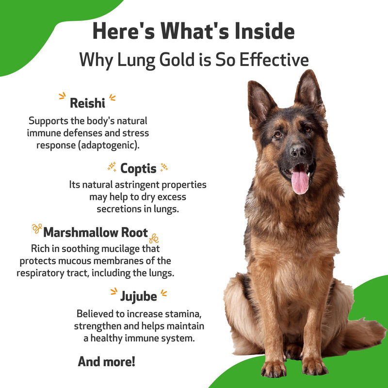 Pet Wellbeing Lung Gold for Dogs - Lung Immune Support, Lower Respiratory Health, Open Airways, Normal Breathing, Reishi, Coptis - Veterinarian-Formulated Herbal Supplement 2 oz (59 ml) 2 fl oz (59 ml)