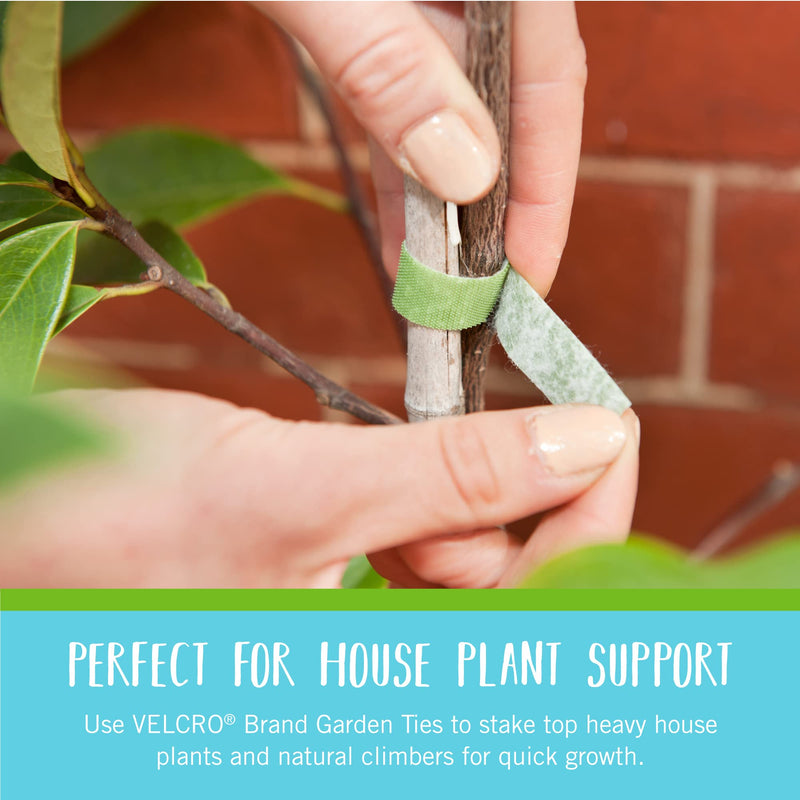 VELCRO Brand VEL-30071-USA ONE-WRAP Garden Ties | Plant Supports for Effective Growing | Strong Grips are Reusable and Adjustable | Cut-to-Length, 50 ft x 1/2 in, Green-Recycled Plastic Green - Recycled Plastic
