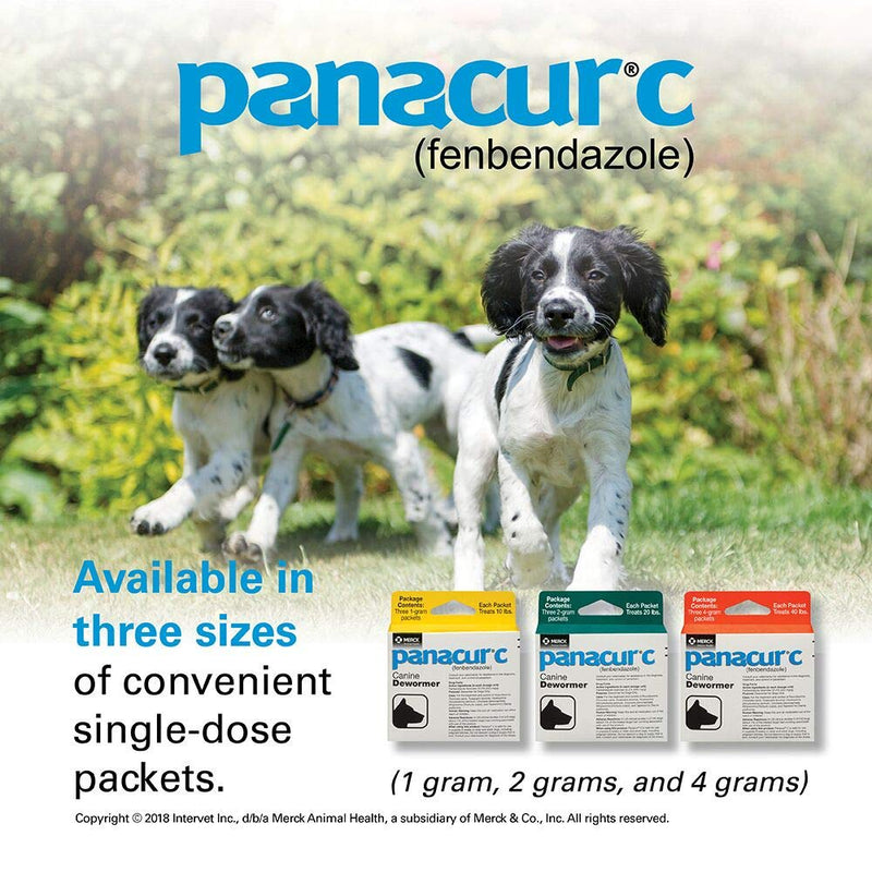 Panacur C Canine Dewormer (Fenbendazole), 1 Gram, Yellow, 3 Count (Pack of 1) - PawsPlanet Australia