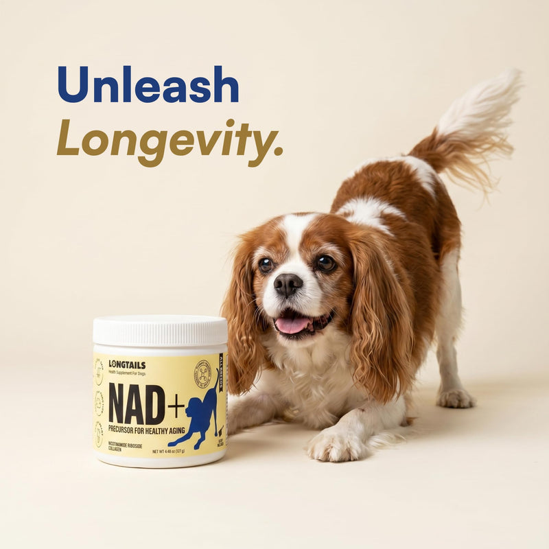 NAD+ Precursor Senior Dog Supplement - Cognitive & Longevity - NMN Alternative Powder with 200mg Nicotinamide Riboside (NR) and 1,500mg Hydrolyzed Collagen - Made in USA, 30 Scoops, Up to 60 Days