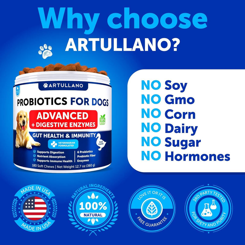 All Dog Breeds Probiotics Chews - Immunity & Gut Health - Digestive Enzymes - Nutrient Absorption - PawsPlanet Australia