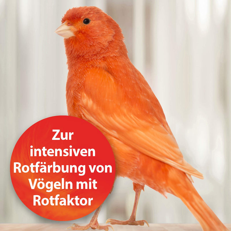 Quiko Intensiv Red, 100g 100 g - PawsPlanet Australia